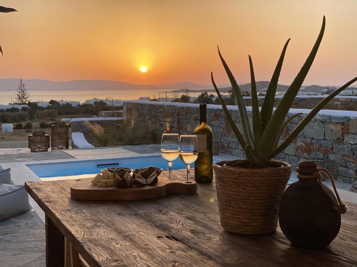 Villa Ypsilon Naxos - Luxury Holiday House With Amazing Sea View & Private Pool Agia Anna  外观 照片