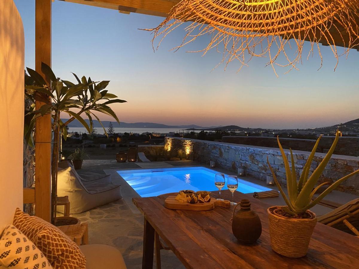 Villa Ypsilon Naxos - Luxury Holiday House With Amazing Sea View & Private Pool Agia Anna  外观 照片