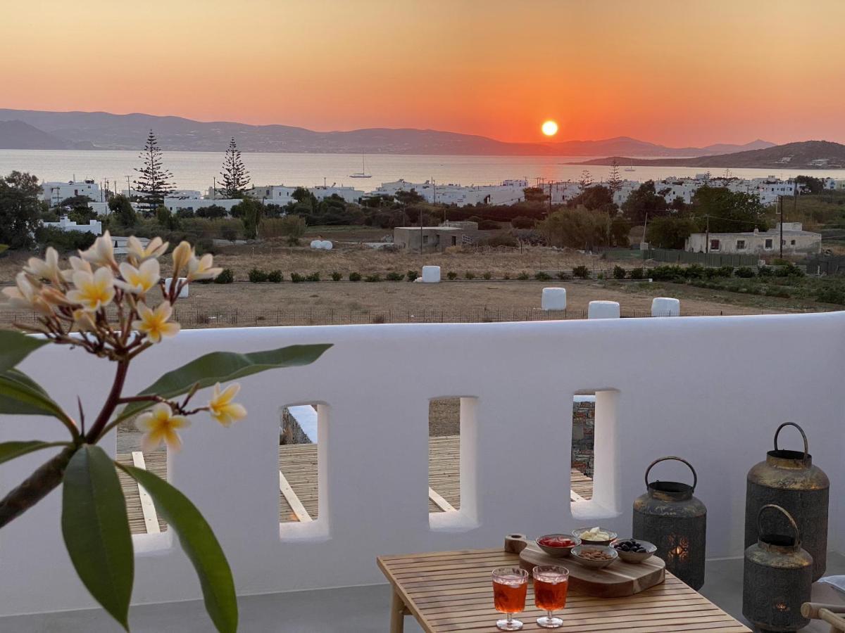 Villa Ypsilon Naxos - Luxury Holiday House With Amazing Sea View & Private Pool Agia Anna  外观 照片